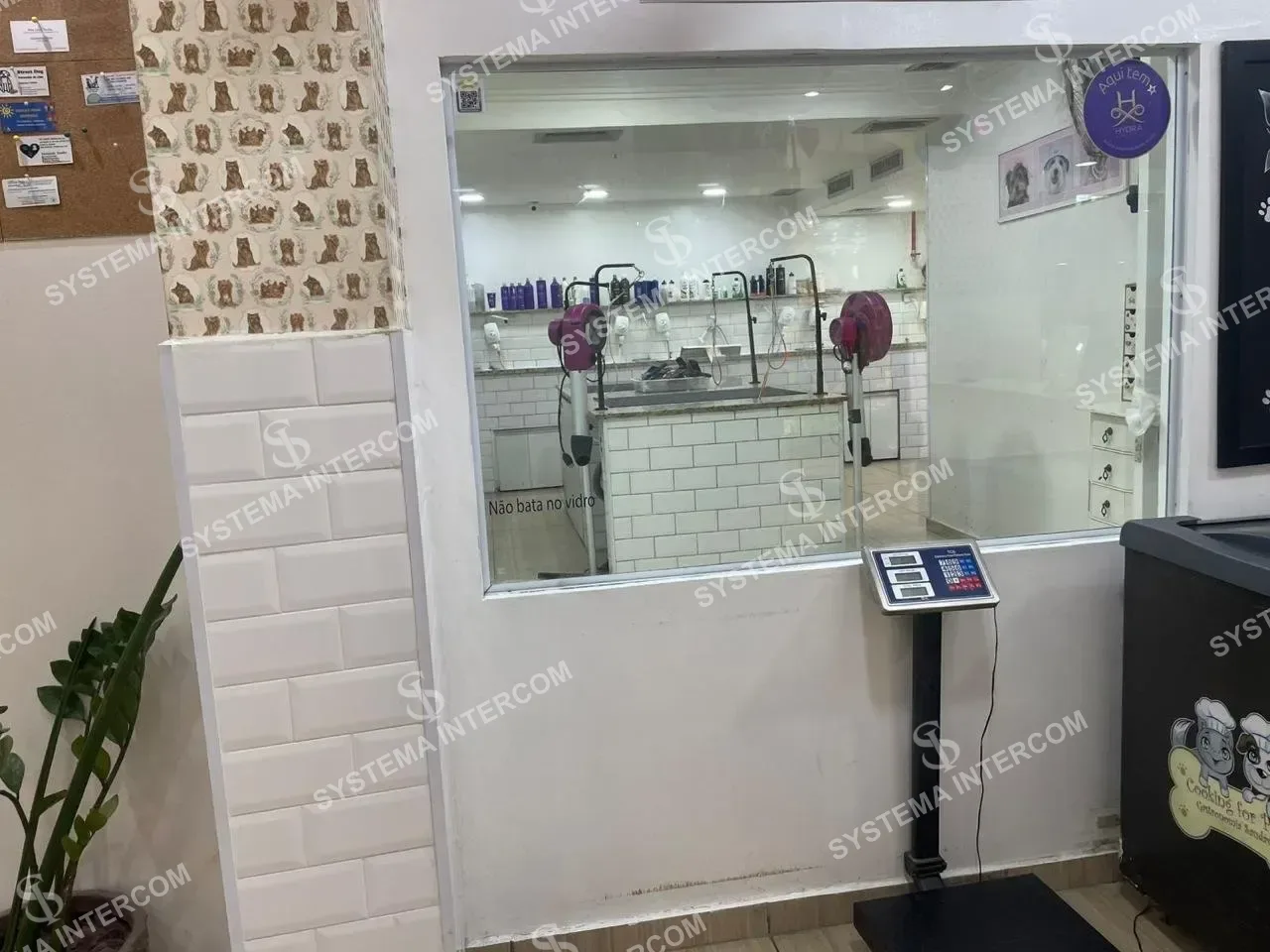 Pet Shop Osasco