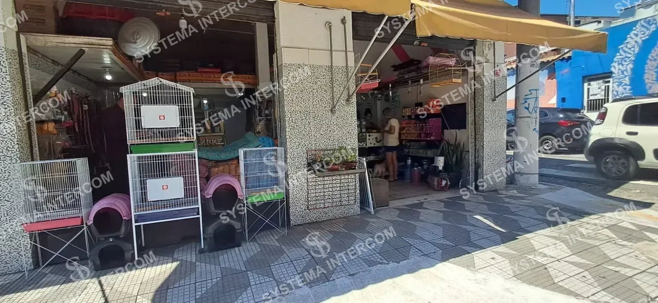 PetShop e casa de ração de esquina Zona Leste