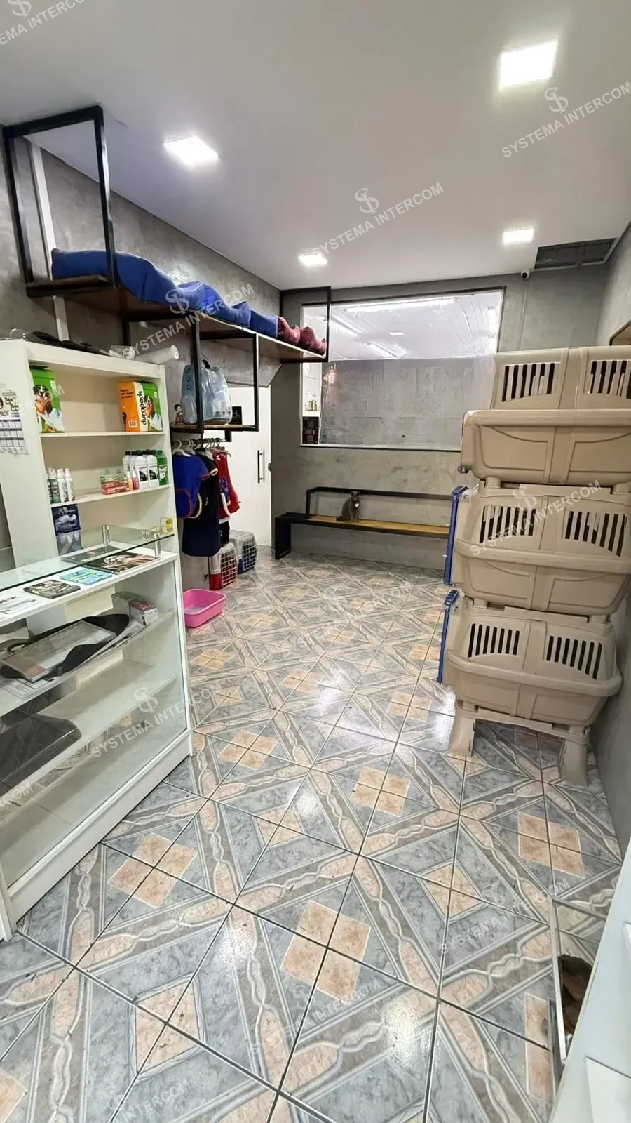 Petshop Zona Leste