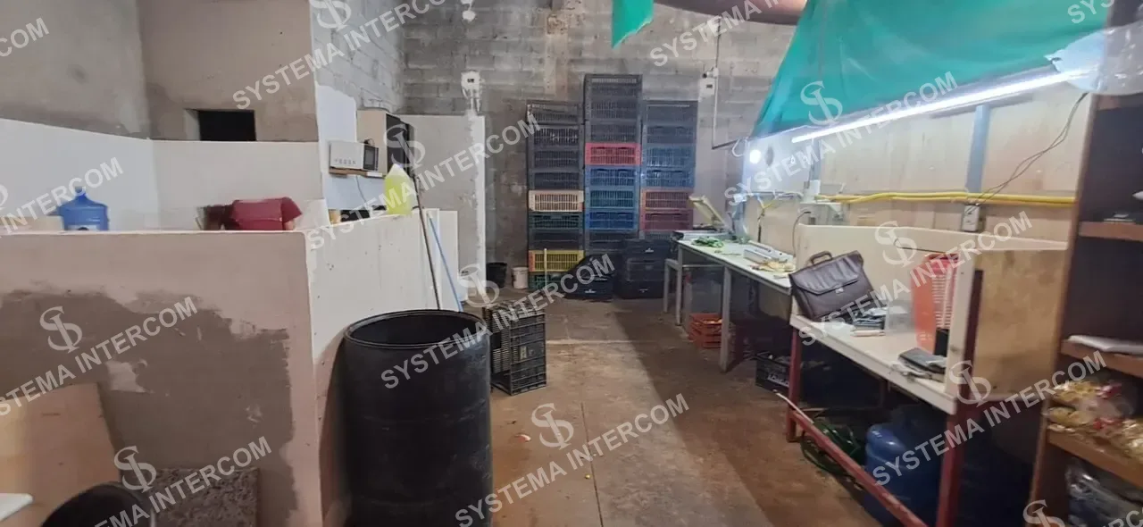 Hortifruti em forte centro comercial, sem concorrência na Zona Leste
