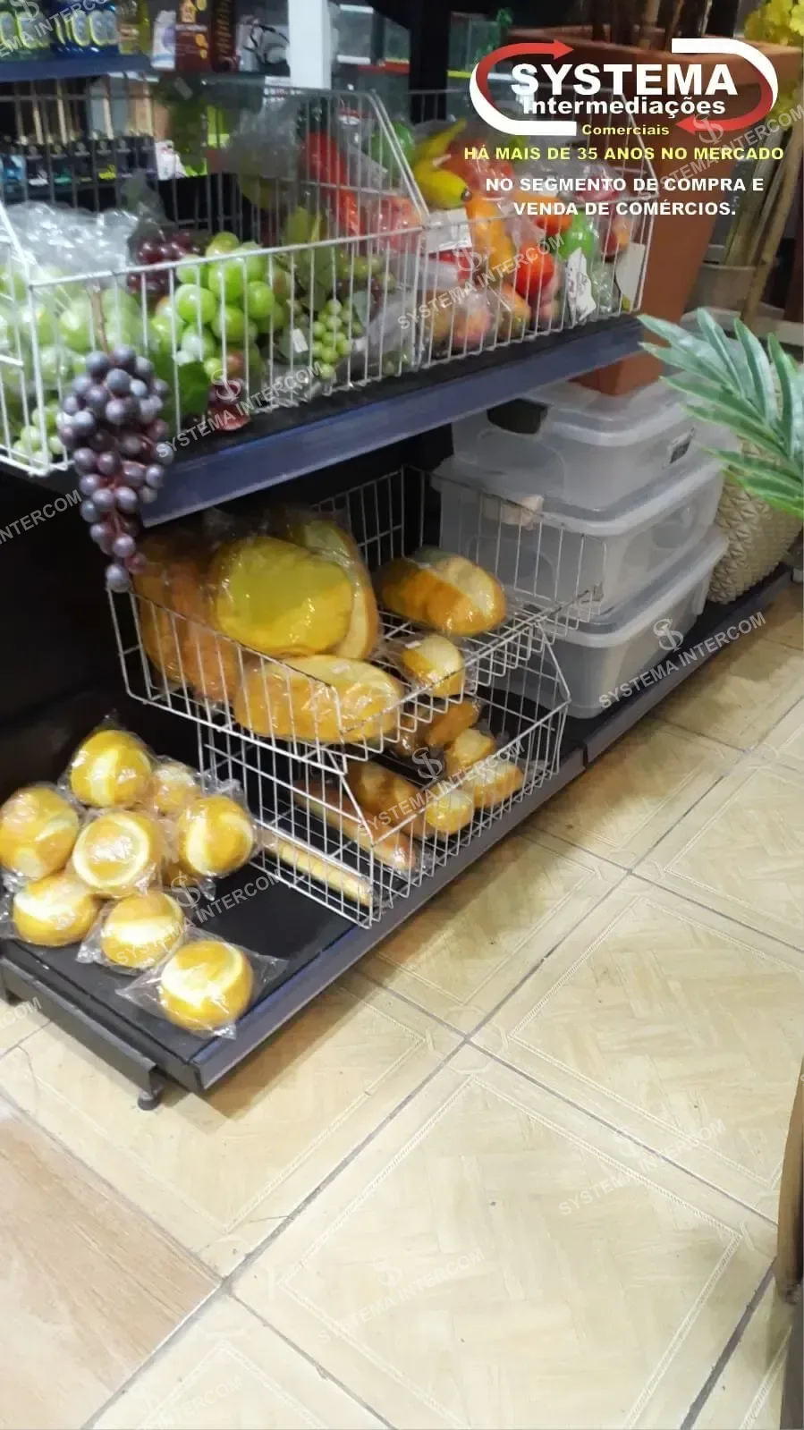 Loja de jardinagem e utilidades em Osasco