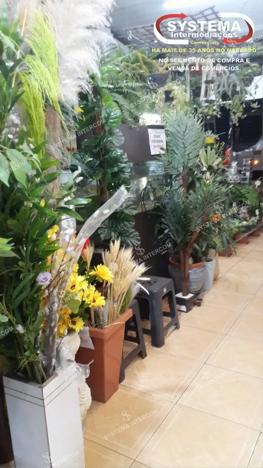 Loja de jardinagem e utilidades em Osasco