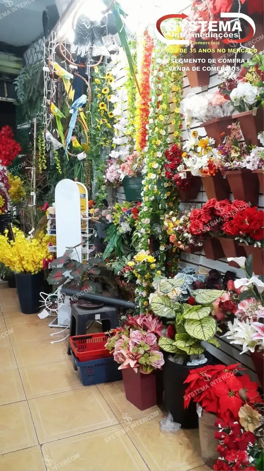Loja de jardinagem e utilidades em Osasco